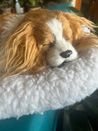 Perro de peluche con cuna