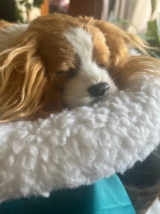Perro de peluche con cuna
