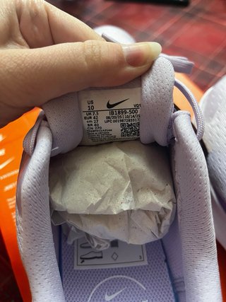 Nike Downshifter 14 Morado/Blanco