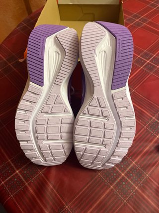 Nike Downshifter 14 Morado/Blanco
