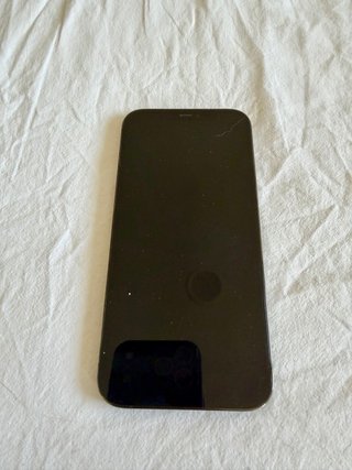 iPhone 12 Pro Max 256 GB Nero