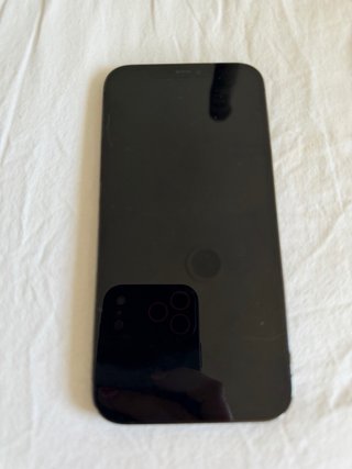 iPhone 12 Pro Max 256 GB Nero