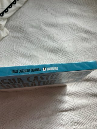 Lengua Castellana y Literatura