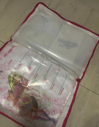 Cojín secreto Winx Club