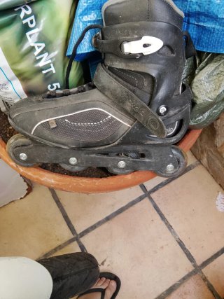 Patines en línea Oxelo Talla 43