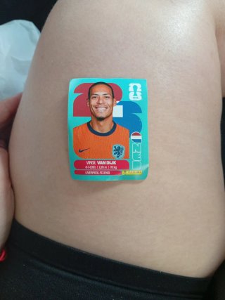Cromo Mundial Virgil Van Dijk