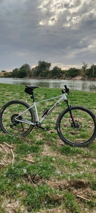 Orbea Alma H50 29 Bicicleta Montaña