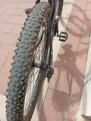 Bicicleta B-PRO Aluminio Talla 52XL