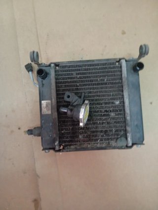 Radiador Kymco Gran Dink 125-300