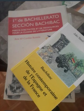 Libros de bachibac: bachillerato francés