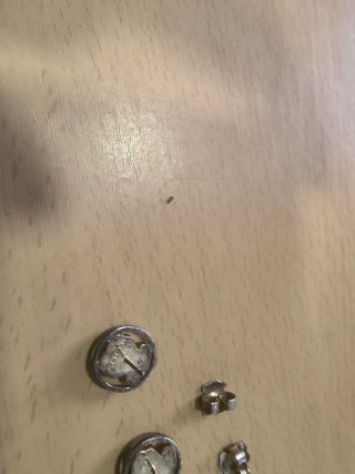 Pendientes Tous Rosa y Plata
