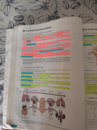 Biología, Geología y Ciencias Ambientales. 1 Ba...