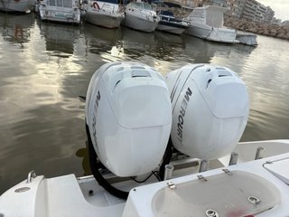 Motores Mercury Verado 225cv (2 unidades)