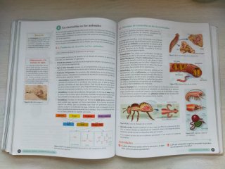 Biología, Geología y CC. Ambientales 1º Bachill...