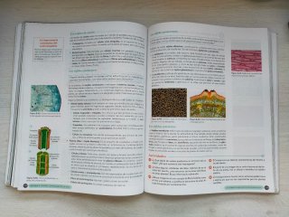 Biología, Geología y CC. Ambientales 1º Bachill...