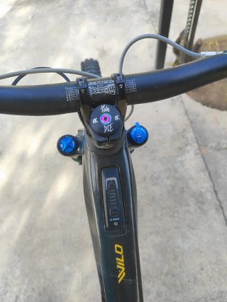 Orbea Wild Ebike