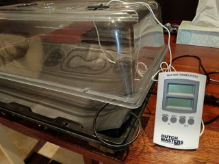 Germinador Invernadero con Termo-higrómetro