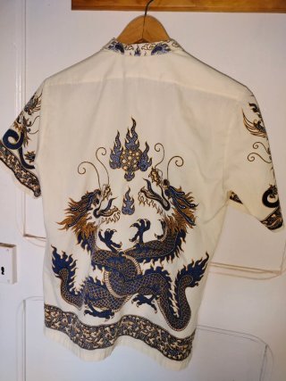 Camisa estampada dragones beige y azul