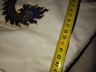 Camisa estampada dragones beige y azul