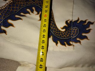 Camisa estampada dragones beige y azul