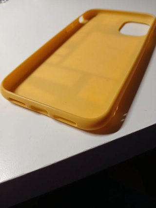Funda iPhone 11 CASETiFY DHL Express