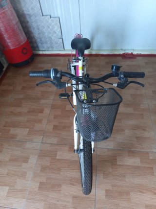 Bicicleta infantil Denbike 20 rosa