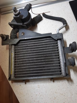 Radiador Refrigerante VW 3B0203507