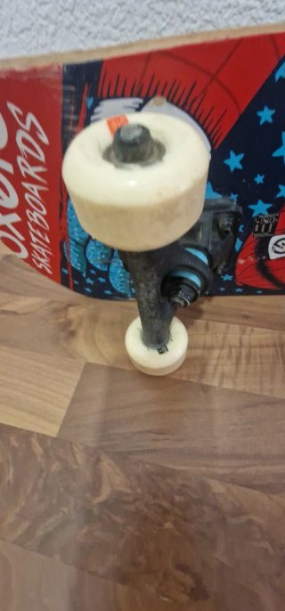 Skate Oxelo con diseño de oso