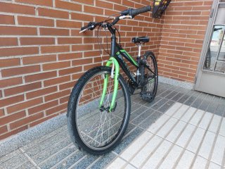 Bicicleta Infantil TEAM Talla 24