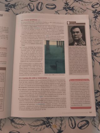 Lengua castellana y literatura, 2 Bachillerato