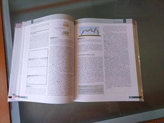 Sensación y percepción