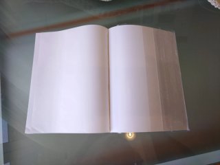 Sensación y percepción