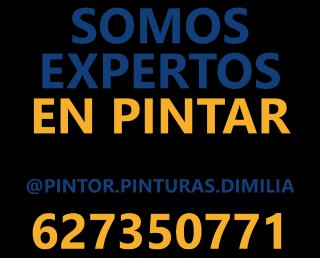 Pintor profesional