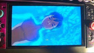 The Legend of Zelda: Breath of the Wild Switch