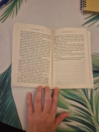 Ara que estem junts