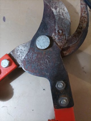 Set di forbici da giardinaggio 10 euro per due