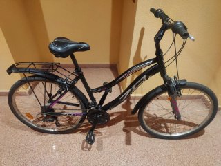 Bicicleta Urbana DTR 7005 Aluminio