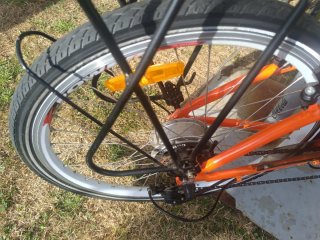 Bici Eléctrica 36V Adulto