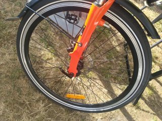 Bici Eléctrica 36V Adulto