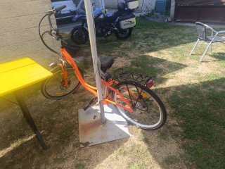 Bici Eléctrica 36V Adulto