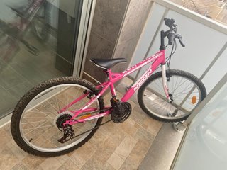 Bicicleta Neon Rosa