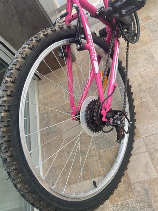 Bicicleta Neon Rosa