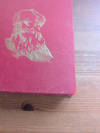 Ana Karenina
