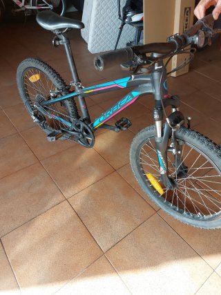 Bicicleta de montaña