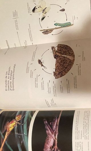 Guía de la Naturaleza de la Comunidad Valenciana