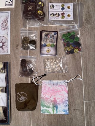 Juego de mesa Darwin's Journey