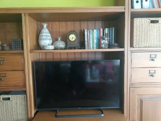 Mueble de salón de pino macizo