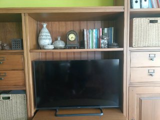 Mueble de salón de pino macizo