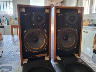 Altavoces Vintage Celestion 10 con REGALO