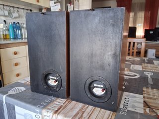 Altavoces Vintage Celestion 10 con REGALO